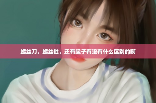 螺丝刀，螺丝批，还有起子有没有什么区别的啊