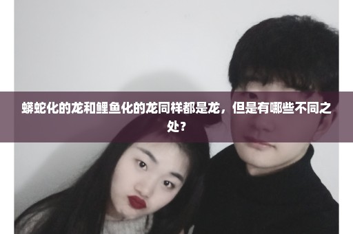 蟒蛇化的龙和鲤鱼化的龙同样都是龙，但是有哪些不同之处？