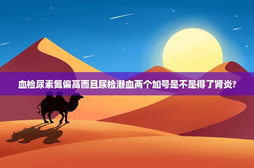 血检尿素氮偏高而且尿检潜血两个加号是不是得了肾炎?