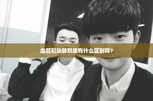 血管和动脉到底有什么区别呀？