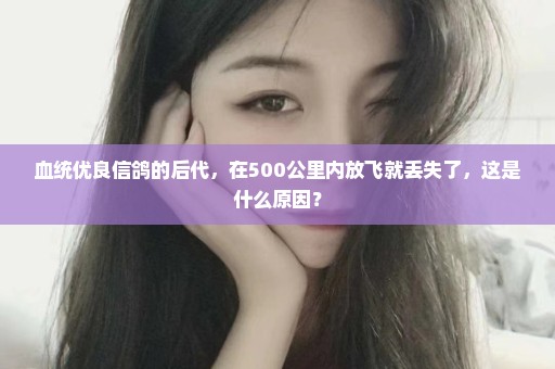 血统优良信鸽的后代，在500公里内放飞就丢失了，这是什么原因？