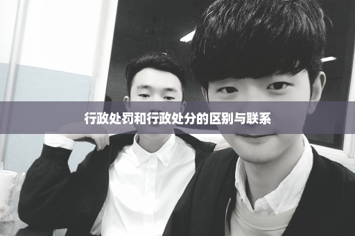行政处罚和行政处分的区别与联系