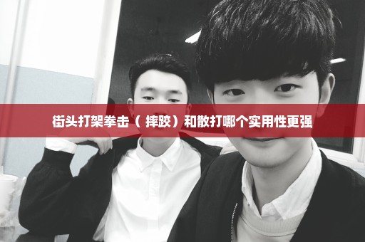 街头打架拳击（+摔跤）和散打哪个实用性更强