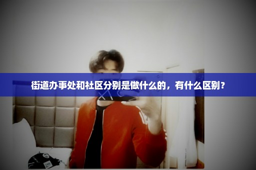 街道办事处和社区分别是做什么的，有什么区别？