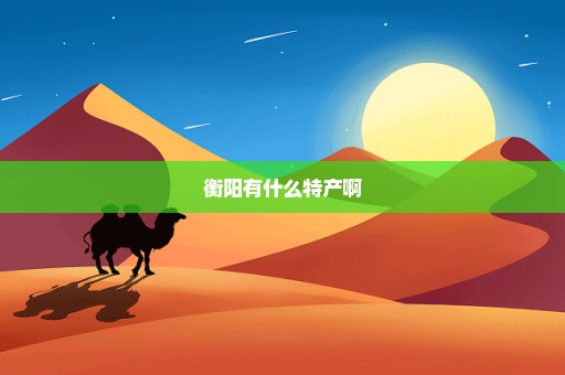 衡阳有什么特产啊