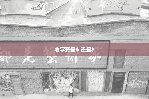 衣字旁是衤还是礻