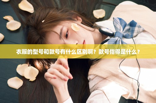 衣服的型号和款号有什么区别啊？款号指得是什么？