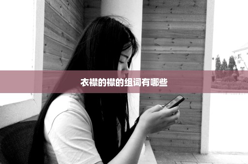 衣襟的襟的组词有哪些