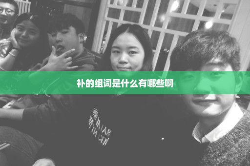 补的组词是什么有哪些啊
