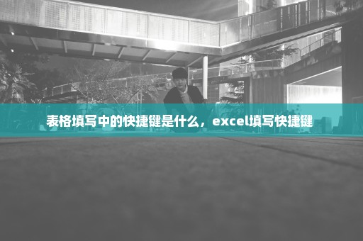表格填写中的快捷键是什么，excel填写快捷键 
