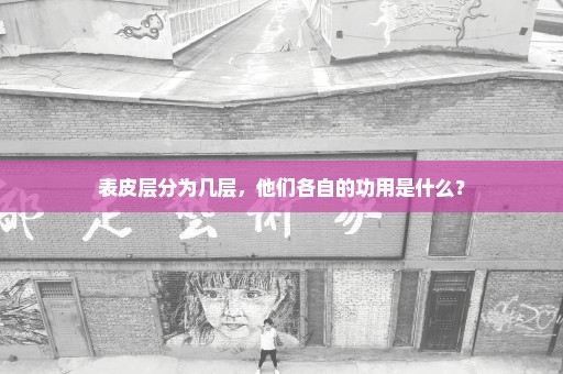 表皮层分为几层，他们各自的功用是什么？