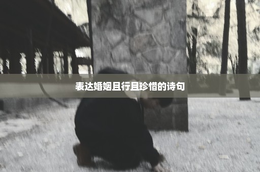 表达婚姻且行且珍惜的诗句