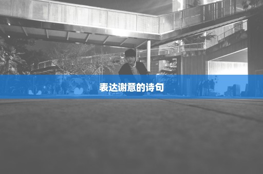 表达谢意的诗句