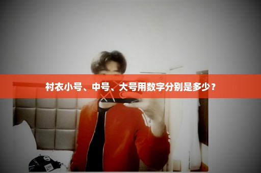 衬衣小号、中号、大号用数字分别是多少？