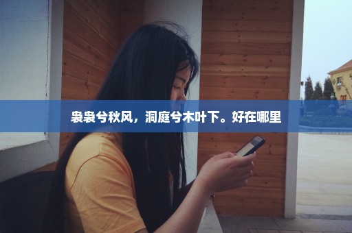 袅袅兮秋风，洞庭兮木叶下。好在哪里