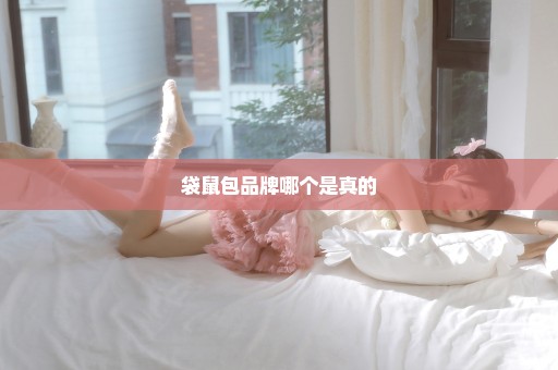 袋鼠包品牌哪个是真的