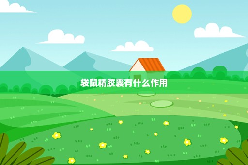 袋鼠精胶囊有什么作用