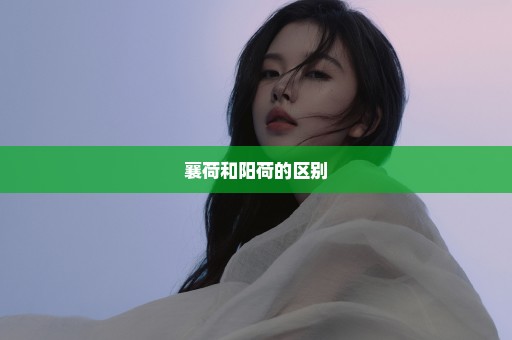 襄荷和阳荷的区别