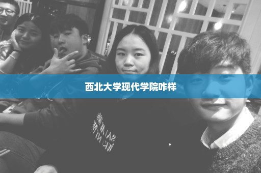 西北大学现代学院咋样
