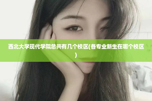 西北大学现代学院总共有几个校区(各专业新生在哪个校区)