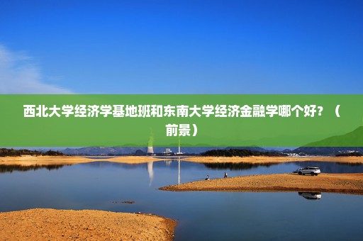 西北大学经济学基地班和东南大学经济金融学哪个好？（前景）