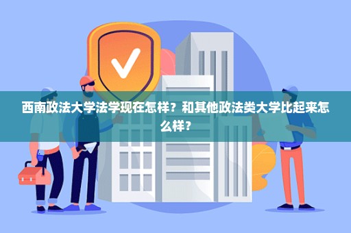 西南政法大学法学现在怎样？和其他政法类大学比起来怎么样？