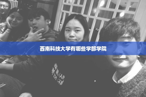 西南科技大学有哪些学部学院