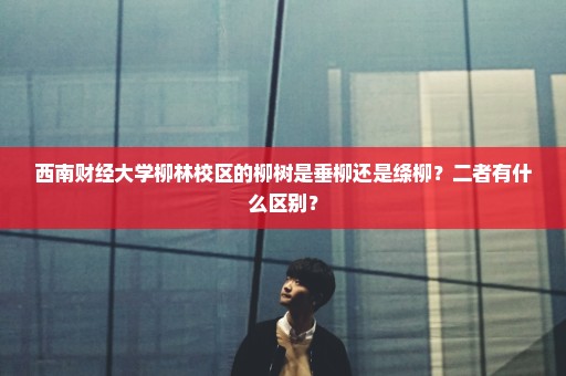西南财经大学柳林校区的柳树是垂柳还是绦柳？二者有什么区别？