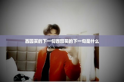 西园买的下一句西园买的下一句是什么