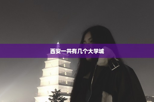 西安一共有几个大学城