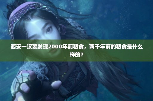 西安一汉墓发现2000年前粮食，两千年前的粮食是什么样的？