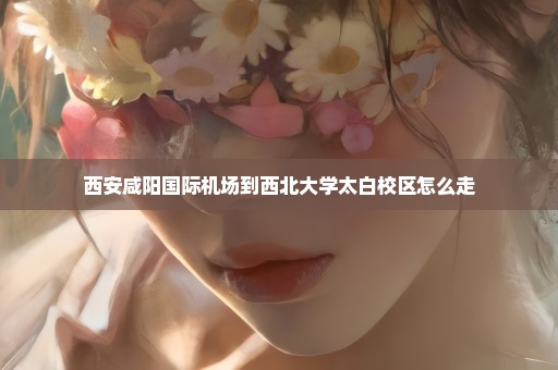 西安咸阳国际机场到西北大学太白校区怎么走