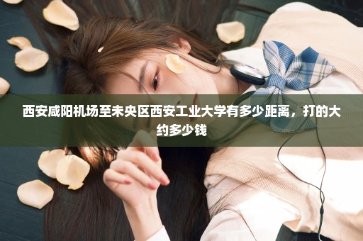 西安咸阳机场至未央区西安工业大学有多少距离，打的大约多少钱