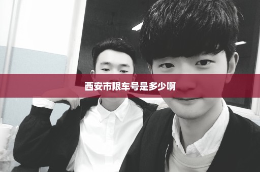 西安市限车号是多少啊