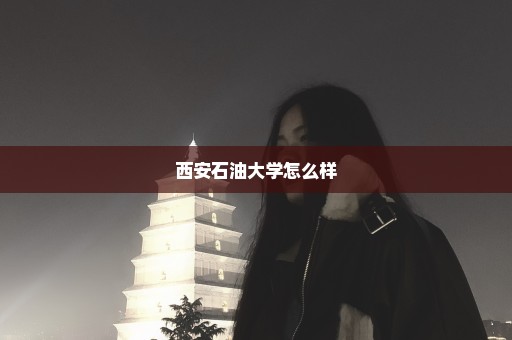 西安石油大学怎么样