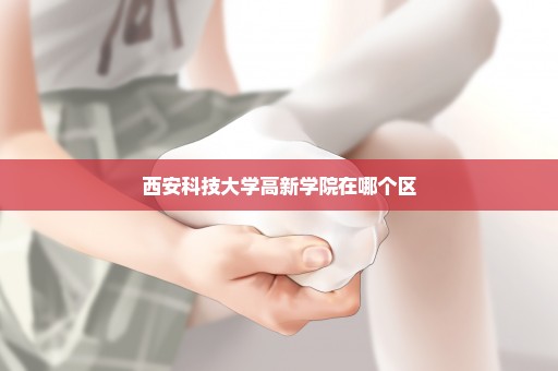 西安科技大学高新学院在哪个区