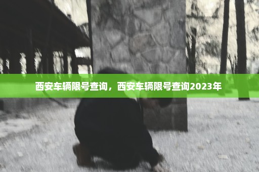 西安车辆限号查询，西安车辆限号查询2023年 