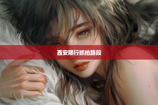 西安限行抓拍路段