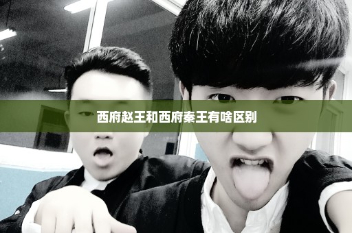 西府赵王和西府秦王有啥区别