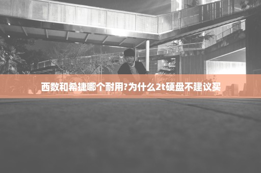 西数和希捷哪个耐用?为什么2t硬盘不建议买