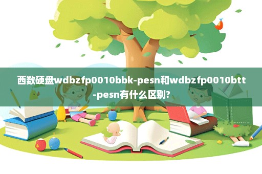 西数硬盘wdbzfp0010bbk-pesn和wdbzfp0010btt-pesn有什么区别?