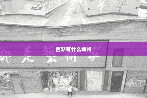 西湖有什么动物