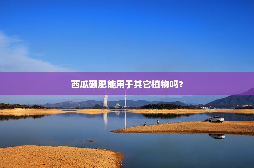 西瓜硼肥能用于其它植物吗？