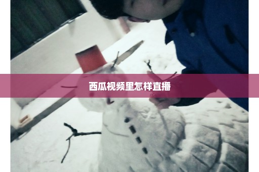 西瓜视频里怎样直播