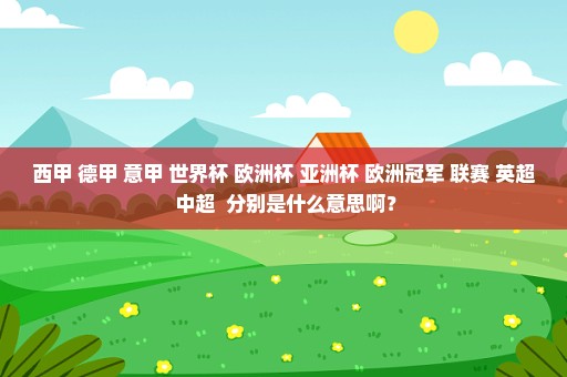 西甲 德甲 意甲 世界杯 欧洲杯 亚洲杯 欧洲冠军 联赛 英超 中超  分别是什么意思啊？