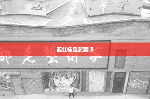 西红柿是蔬菜吗