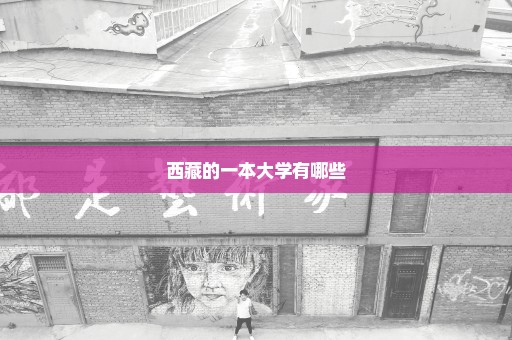 西藏的一本大学有哪些