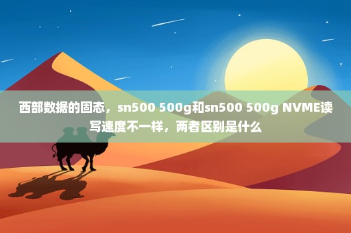 西部数据的固态，sn500 500g和sn500 500g NVME读写速度不一样，两者区别是什么