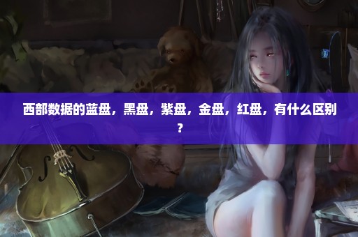 西部数据的蓝盘，黑盘，紫盘，金盘，红盘，有什么区别？