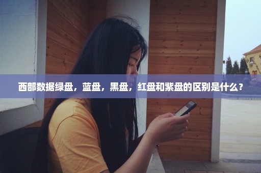 西部数据绿盘，蓝盘，黑盘，红盘和紫盘的区别是什么？